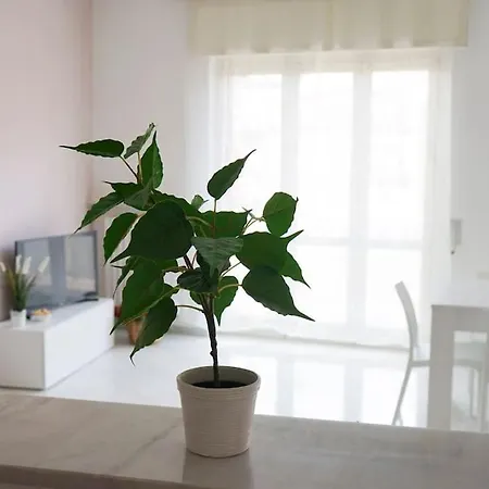 Apartman Casa Speranza Nápoly